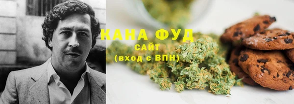 гидра Аркадак