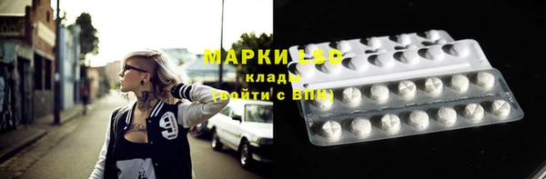 гидра Аркадак