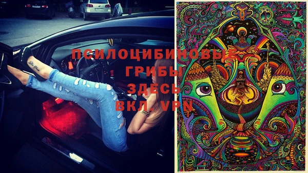 гашик Армянск