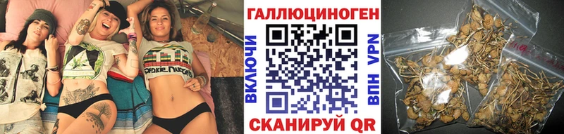 Псилоцибиновые грибы мицелий  Купить где  Дмитровск 