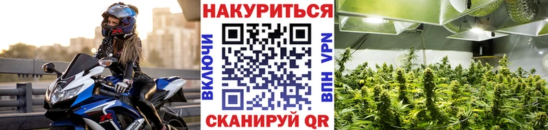 Конопля план Дмитровск